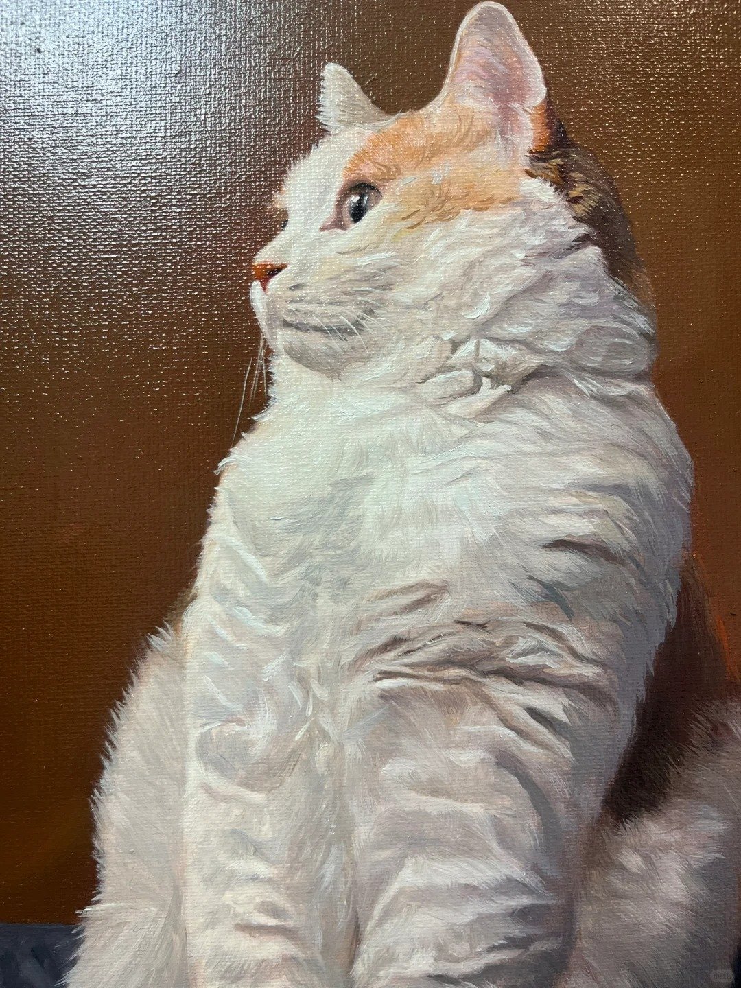 Customized hand-painted oil paintings of pets (1)